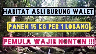 Goa walet kalimantan