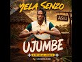 YELA SENZO UJUMBE WA MASHALA OFFICIAL AUDIO 