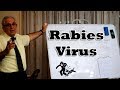 Rabies virus - داء الكلب