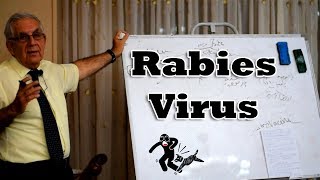 Rabies virus - داء الكلب