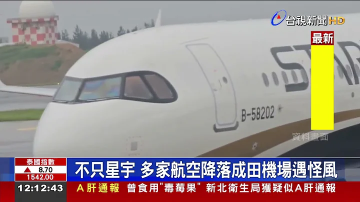 不只星宇 多家航空降落成田机场遇怪风 - 天天要闻