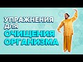 Очищение организма. Комплекс упражнений в домашних условиях от чемпиона мира по цигуну.