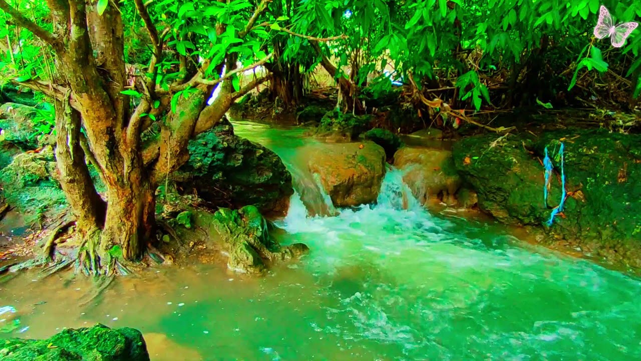 NO AI || Relaxing Music For Stress Relief, Anxiety and Depressive States🌲Heal Mind, Body and Soul 20