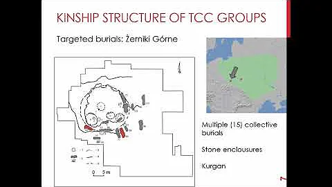 ANCIENT DNA SHEDS LIGHT INTO THE KINSHIP STRUCTURE OF EARLY 2ND MILLENNIUM BC TRZCINIEC CIRCLE GROUP