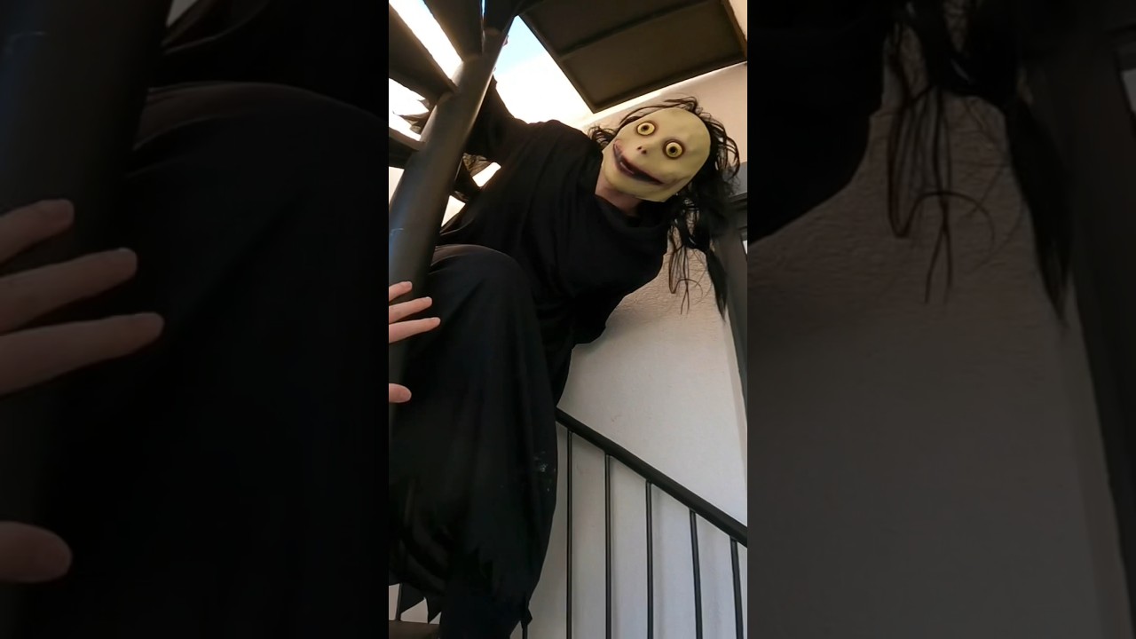 Would you let him in?🫣😫 