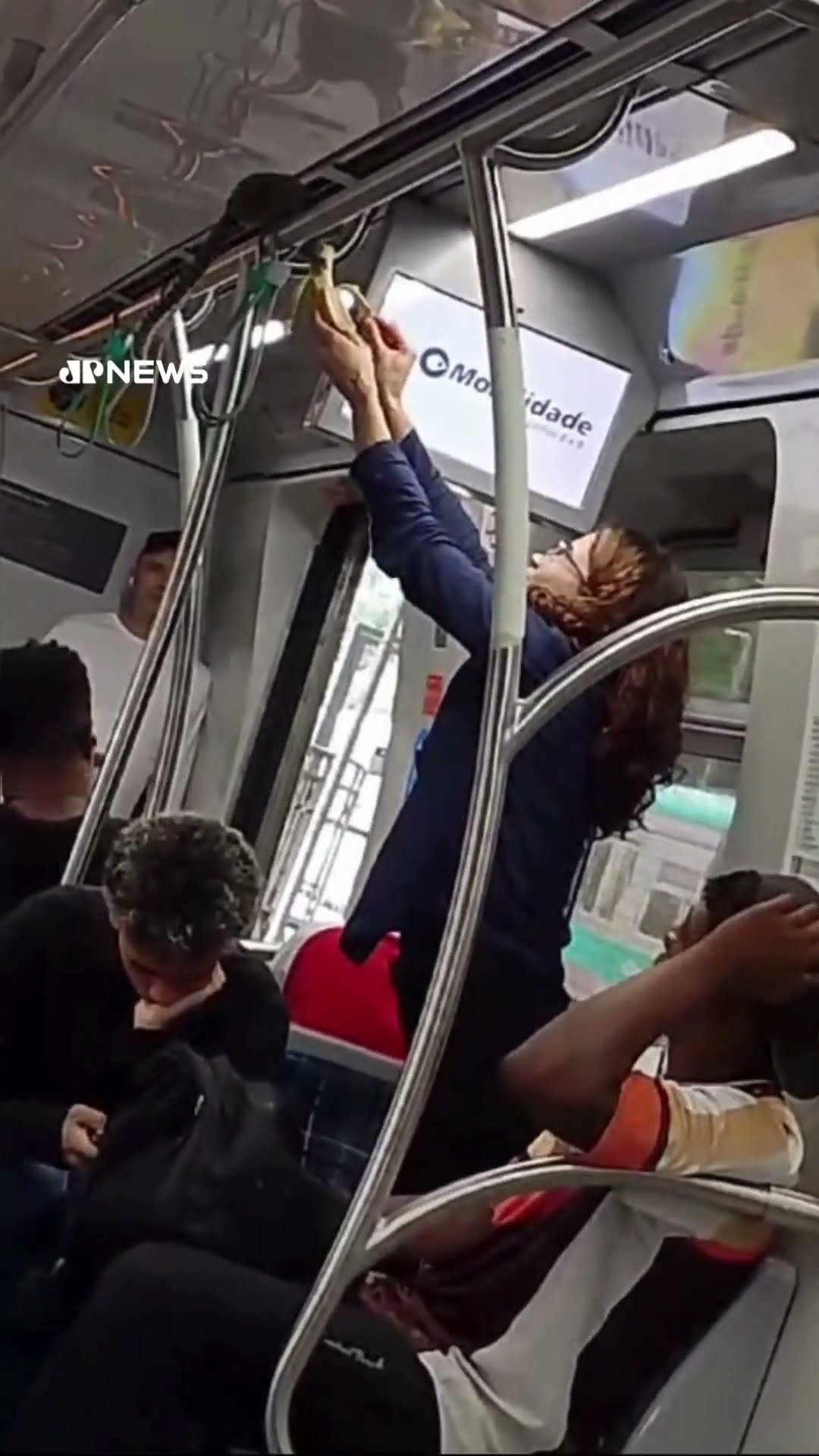 Sagui é flagrado dentro de vagão de trem em São Paulo; assista