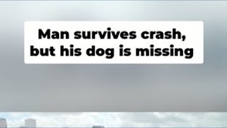 Famous Dad Critically Injured, Family Dog Missing After Crash Wealth