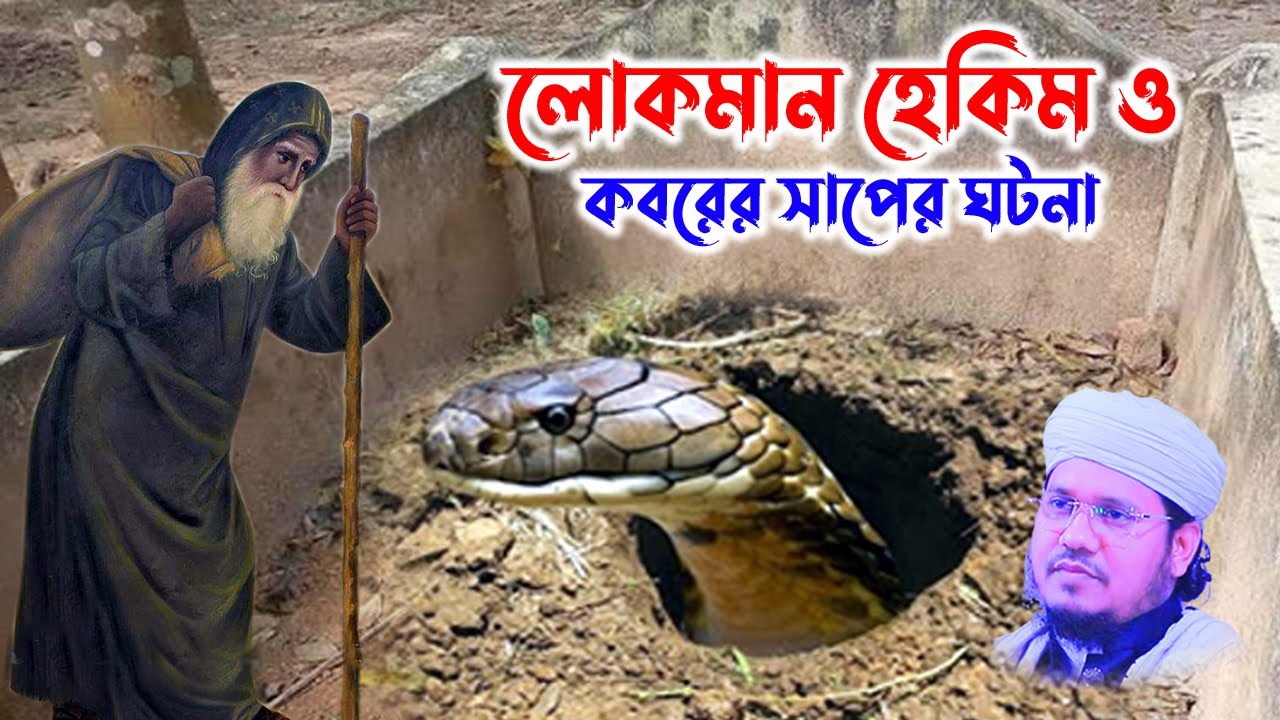মোজাম্মেল হক সাঈদ । Mozammel Haque Sayed | sayed waz | abdullah tv 01813809850 -  লোকমান হেকিম ও সাপ