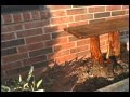 Wood Bench made from Dead Tree Trunk Wood Bench made from Dead Tree Trunk