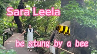 Bee sting therapy in Naha Okinawa/ Japan travel