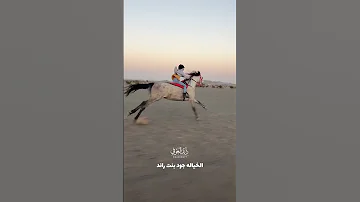 شوف سرعة اسرع فرس عربية اصغر خياله جود رائد العوفي خيل 