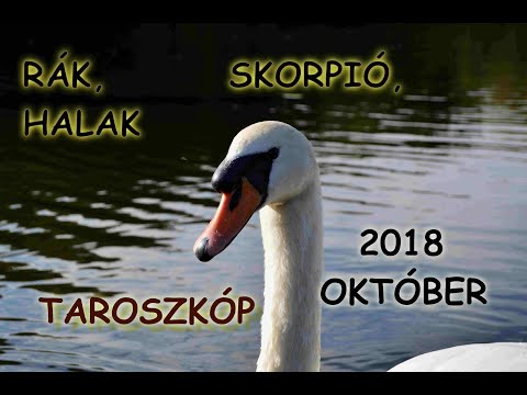 Videó: 2018. Október 2-i Horoszkóp