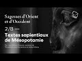 Textes sapientiaux de msopotamie par jeanmarie durand