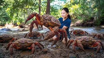 Harvesting Giant Stone Crabs in the Wild Stream & Goes to Market Sell – Living Deep in the Forest