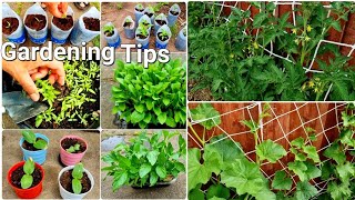 cheap home garden tips to grow your own vegetables | planting ideas at home | gardening in the UK