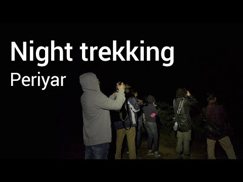 Jungle Scout - a night trekking programme @ Periyar 