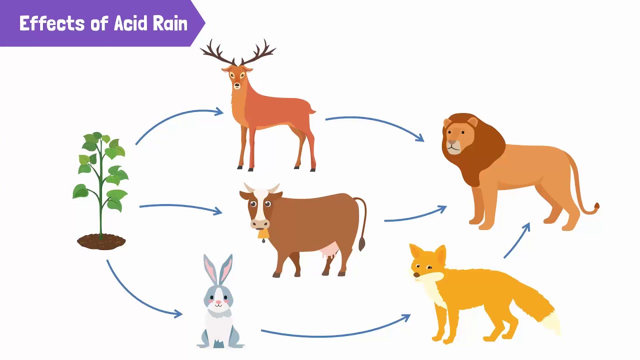 what areas in the world have problems with acid rain