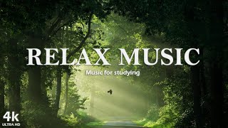 Relaxing Birds and Nature Music | Best Relaxing Piano Music