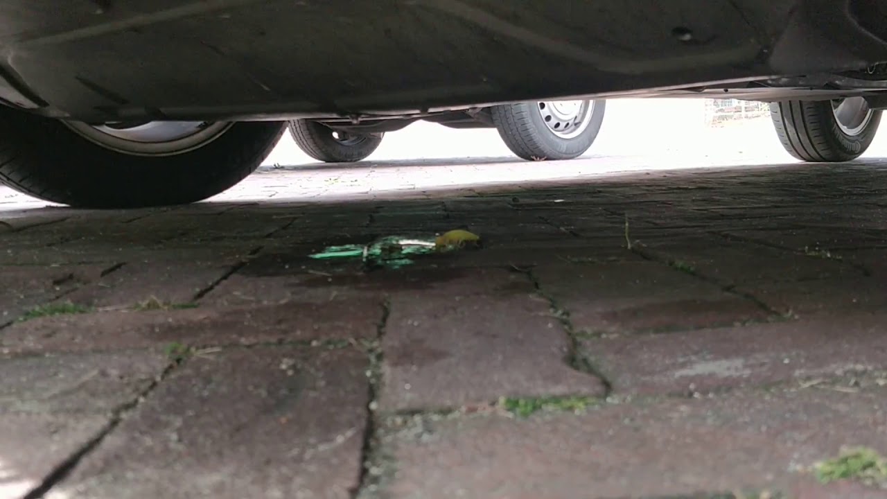 VW Polo 6R coolant leaking oil filter housing part 2 YouTube