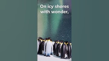 Watch the aurora with Penguin Stargazers #3DAnimation Unreal Engine #wildlife #shorts