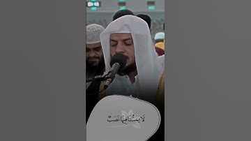 القارئ هيثم الدخين| سورة فاطر #هيثم_الدخين #تلاوة_خاشعة #القران_بصوت_جميل #القرآن_الكريم