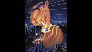 [FREE] BreakBeat x electronic x folk 「Pixel Woodlands」@titooooo5