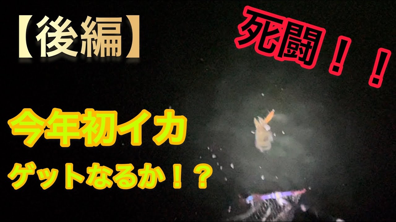 エギングで夜イカ狙ってたらいろいろありすぎた動画 死闘完結 後編 Youtube