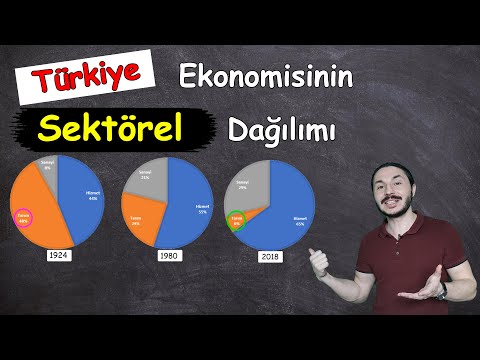 Türkiye Ekonomisinin Sektörel Dağılımı  11.sınıf Coğrafya 📌Ayt coğrafya 📂 PDF