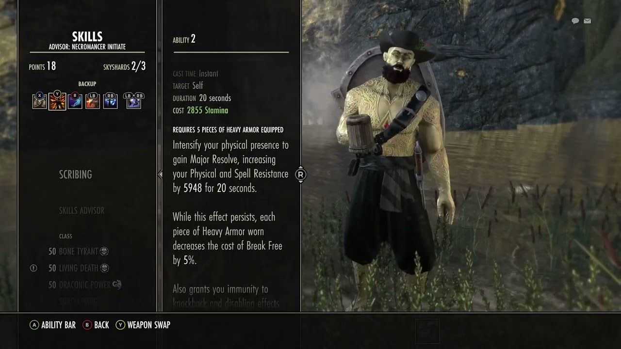 Cyrodil's Most Notorious PvP Tank Build 