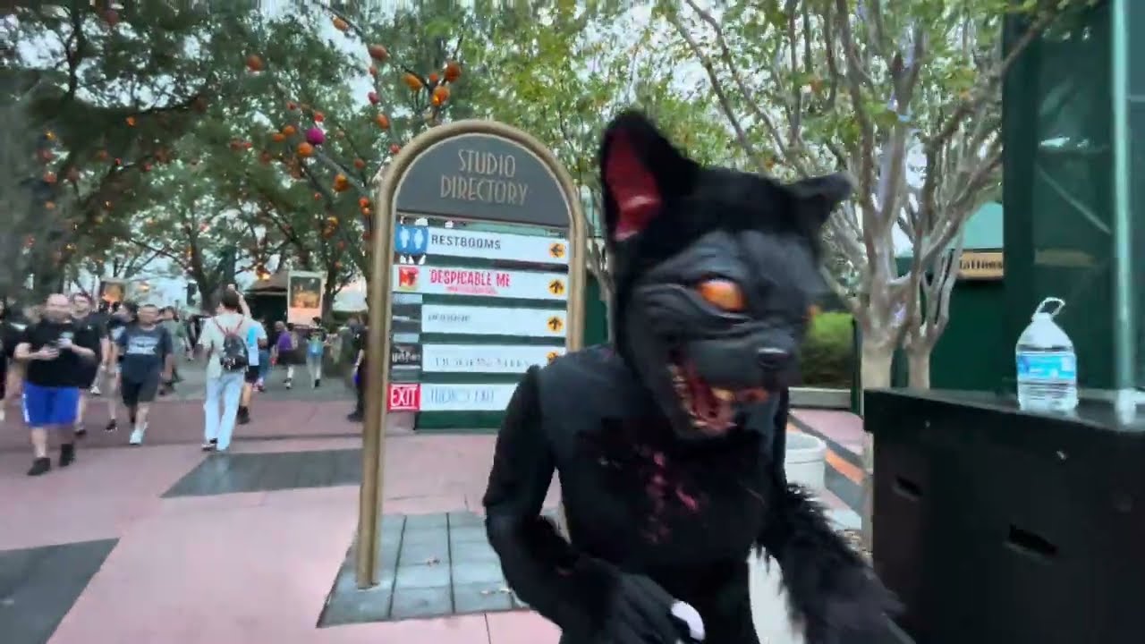 Cat Lady of Crooked Lane Scare Zone at HHN 34