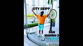 cityskipp - Dan Marino 3 it was meant to be