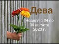 Дева. Таро-прогноз на неделю с 24 по 30 августа 2020 года.