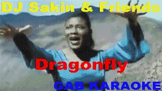 DJ Sakin & Friends - Dragonfly (Radio Mix) - Karaoke Lyrics Instrumental