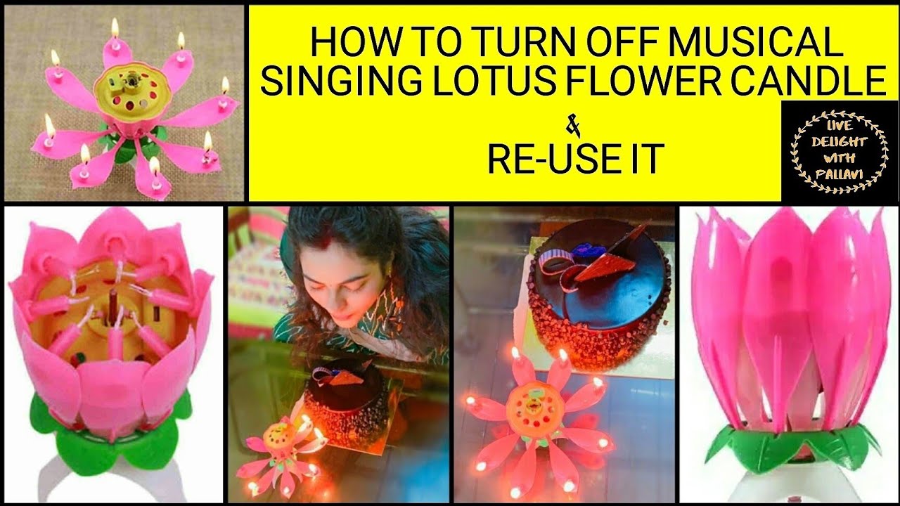 Rotating Musical Flower Candle 