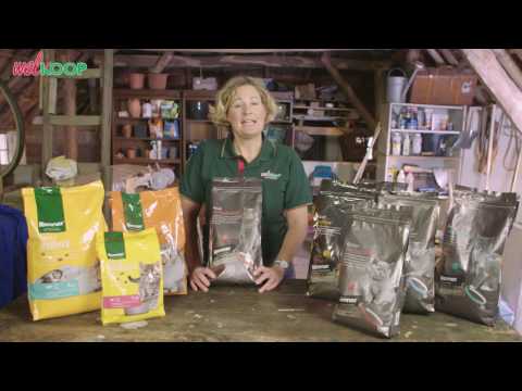 Video: Voedingsslangen Voor Katten - Voeding Nuggets Kat