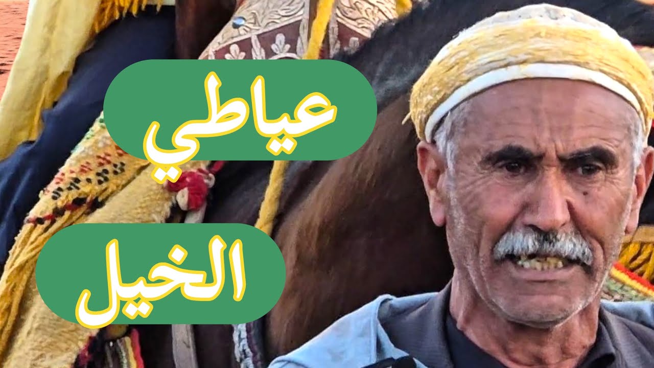 عياطي الخيل في وعدة بلدية سيدي اعمر ولاية سعيدة 