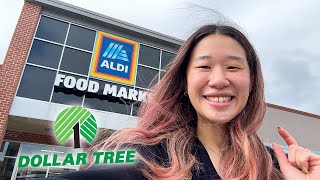 Let's go to Dollar Tree and Aldi and organize my fridge together!
