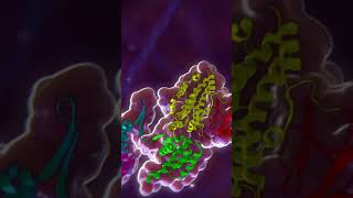 Enjoy your SciArt clip! | Mechanism of Action (MoA) Animation