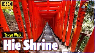 Where is Tokyo’s SECRET HIDDEN PHOTO SPOT?  Hie Shrine's - Red Gate Tunnel