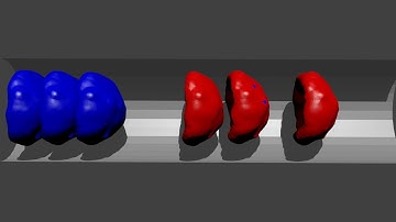 Blood Flow Simulation with LAMMPS