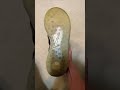 Just found the Kd 12s! Size 11.5 on eBay Soon!!! #kevindurant #shoes