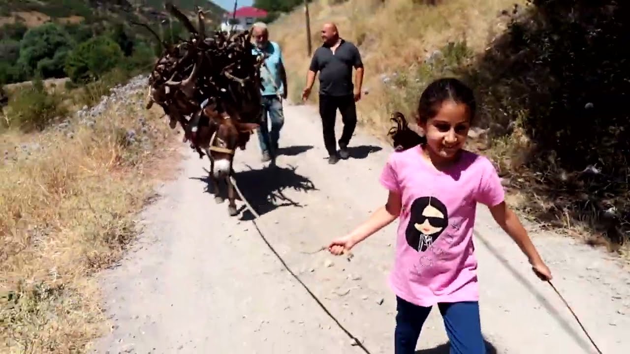 GÜNEŞLİK ( AVTARİÇ ) KÖYÜ  VİDEO