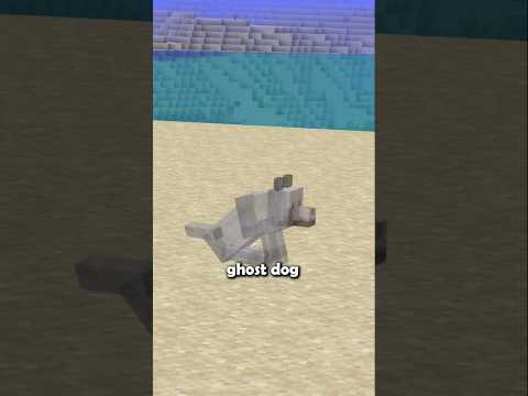 He Stayed After Death…  #minecraft #mazeburner #mcpe #shorts