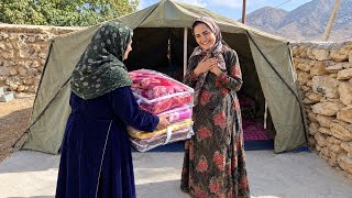 Homeless Fairy Didn't Have a Blanket; Omid's Mother Surprised Her on the Eve of Winter!