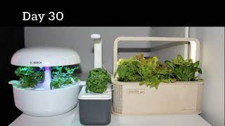 Timelapse 5.5 Weeks (Plantui/Bosch, Click&Grow, Prêt à Pousser Nano, BerlinGreen) screenshot 3