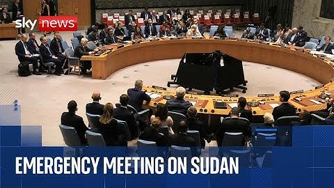 UN Security Council condemns mass killings in Sudan