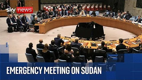 UN Security Council condemns mass killings in Sudan