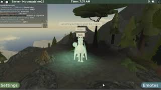 Icewing name ideas!