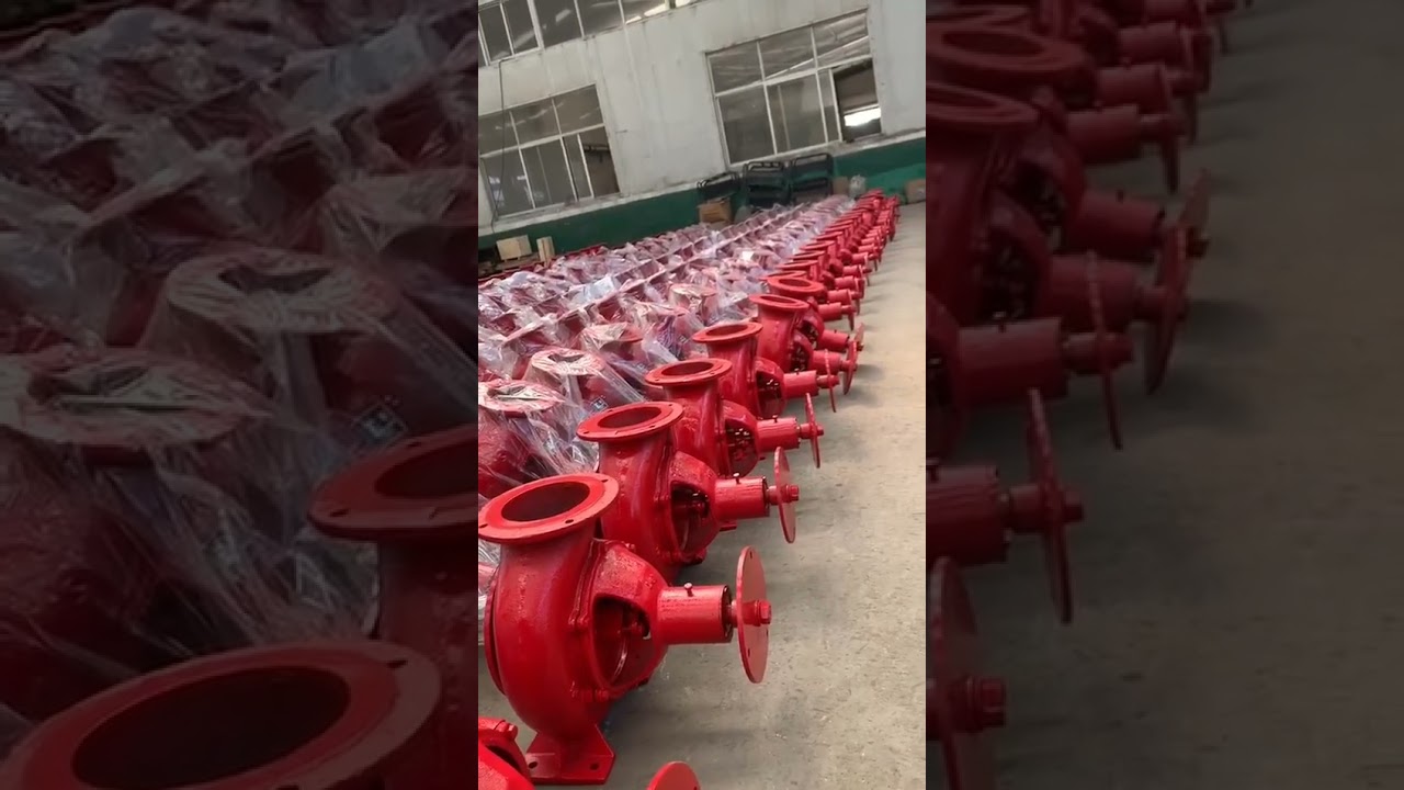 Turkmenistan/Peru 200HW 8 inch water pump