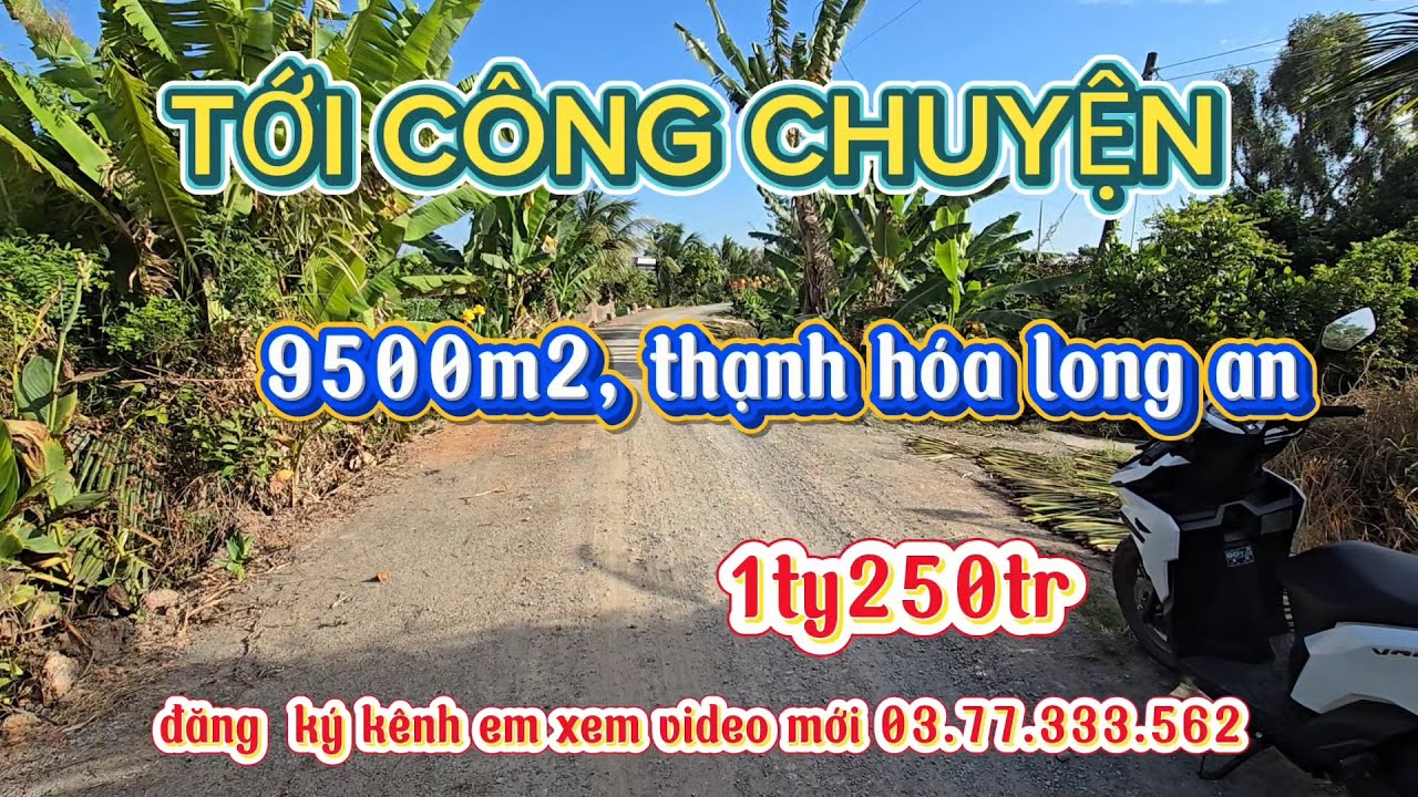 Bán  9 công 5 đất  thạnh hóa long an  giá  1 tỷ  250 tr